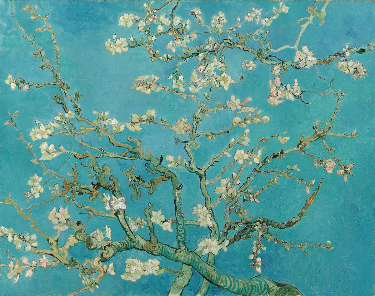 Mandelblom av Vincent van Gogh, poster