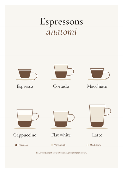 Sex kaffedrinkar i genomskärning med lager av espresso, varm mjölk och mjölkskum: espresso, cortado, macchiato, cappuccino, flat white och latte.