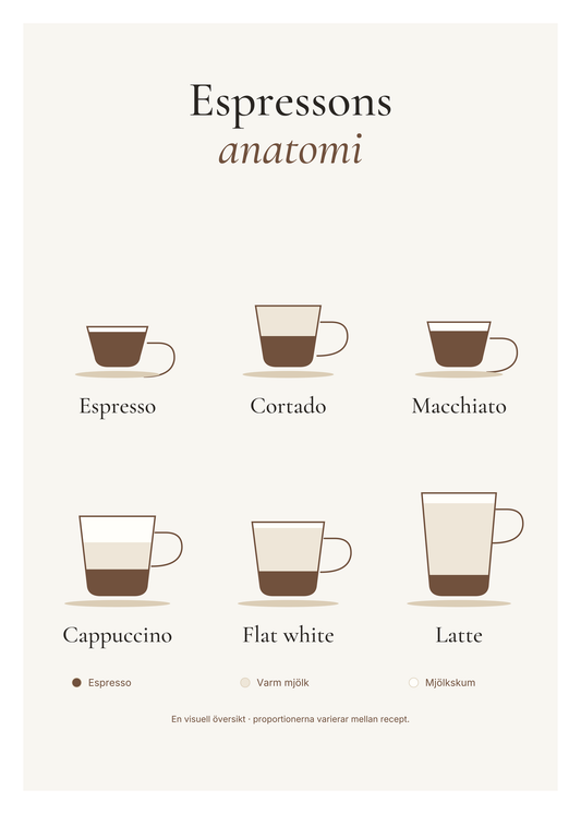 Sex kaffedrinkar i genomskärning med lager av espresso, varm mjölk och mjölkskum: espresso, cortado, macchiato, cappuccino, flat white och latte.