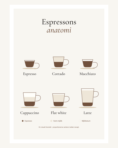 Sex kaffedrinkar i genomskärning med lager av espresso, varm mjölk och mjölkskum: espresso, cortado, macchiato, cappuccino, flat white och latte. – 40 × 50 cm med ljus marginal.