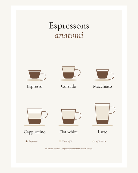 Sex kaffedrinkar i genomskärning med lager av espresso, varm mjölk och mjölkskum: espresso, cortado, macchiato, cappuccino, flat white och latte. – 40 × 50 cm med ljus marginal.
