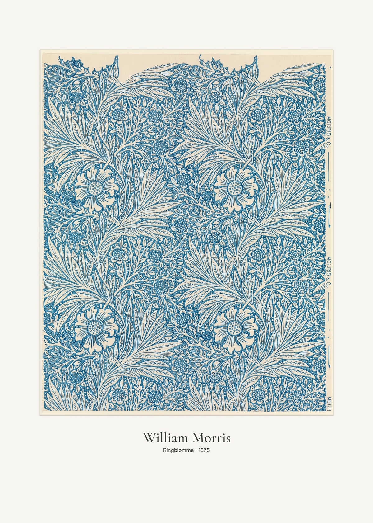 Ringblomma av William Morris. Konstposter med ljus marginal och diskret verktext. 50 × 70 cm.