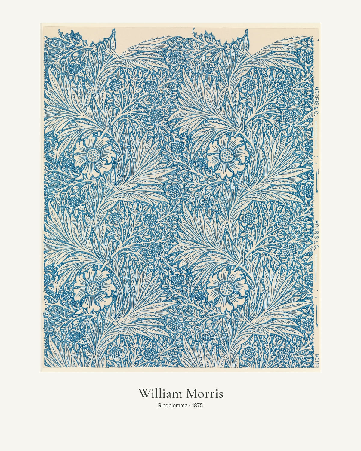 Ringblomma av William Morris. Konstposter med ljus marginal och diskret verktext. 40 × 50 cm.