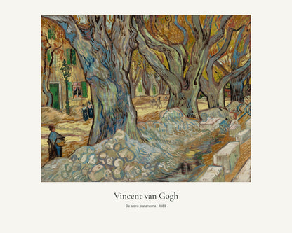 De stora platanerna av Vincent van Gogh. Konstposter med ljus marginal och diskret verktext. 40 × 50 cm.